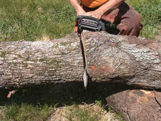 Bucking a log raised to avoid Stones